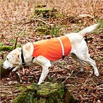 Hunting Gun Dog mellény tükröződik- Narancs